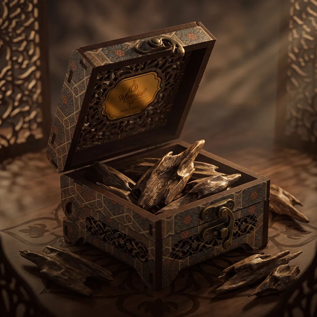 نخبة مورين