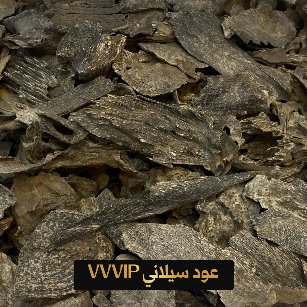 Silani VVVIP Oud