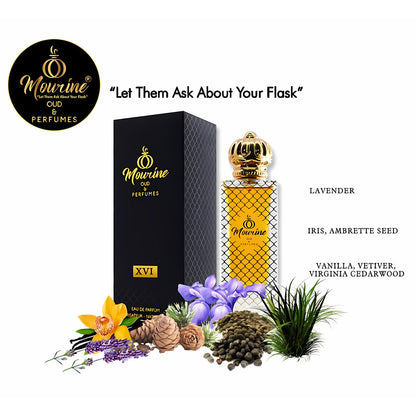 Niche Fragrance XVI