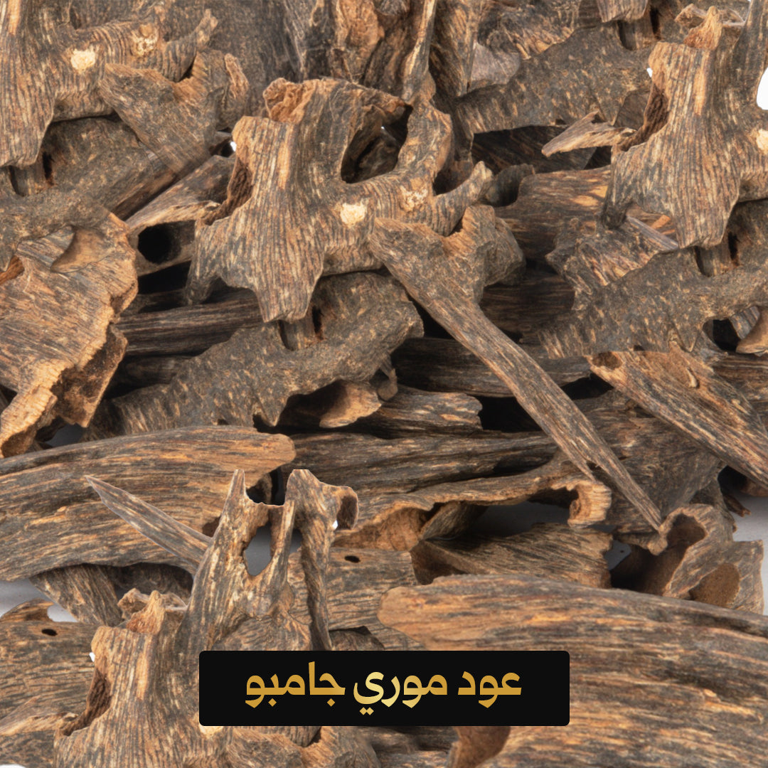 Mori Jumbo Oud