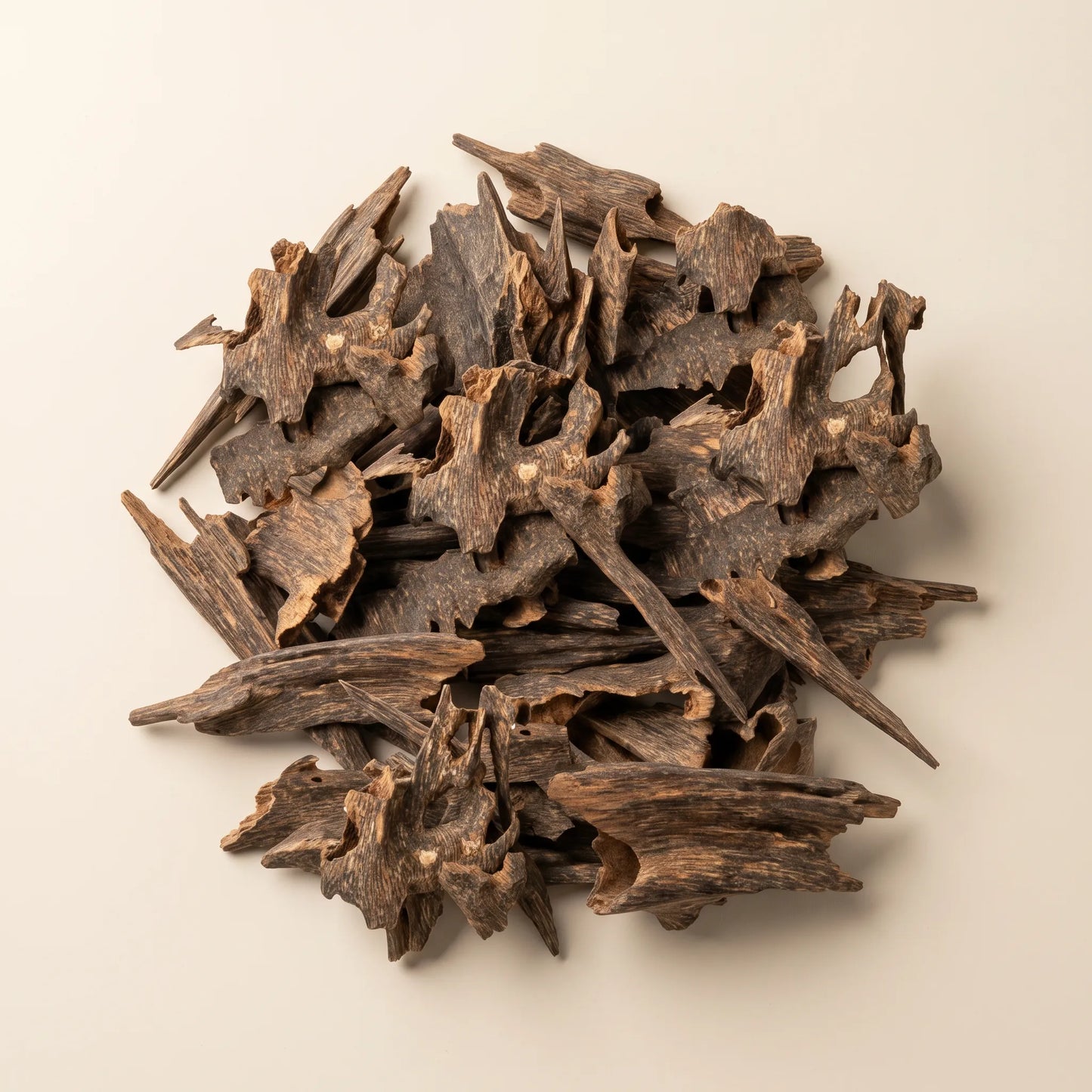 Mori Jumbo Oud