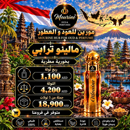 Malino Turabi (مالينو ترابي)