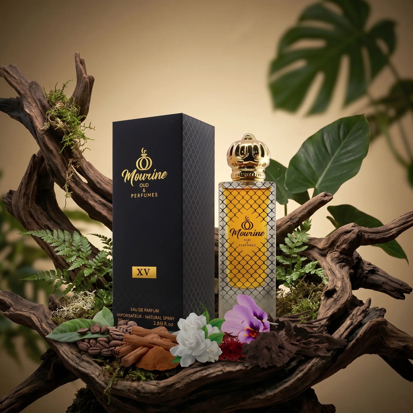 Niche Fragrance XV