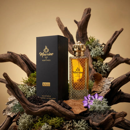 Niche Fragrance XXII